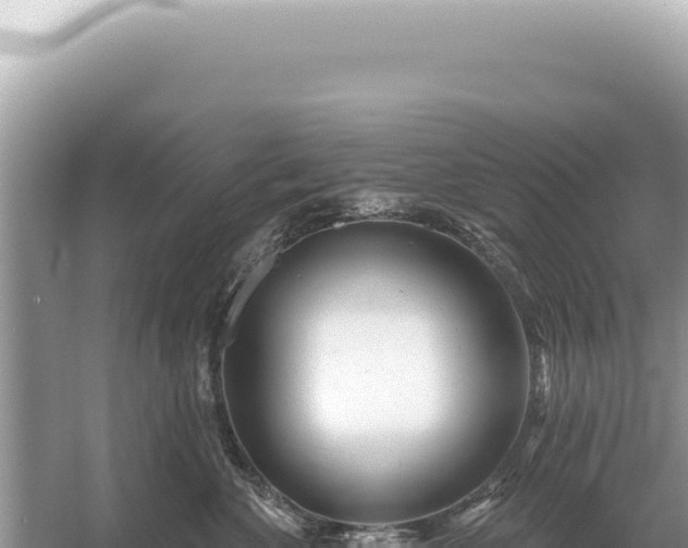 X0000054420524200508051809