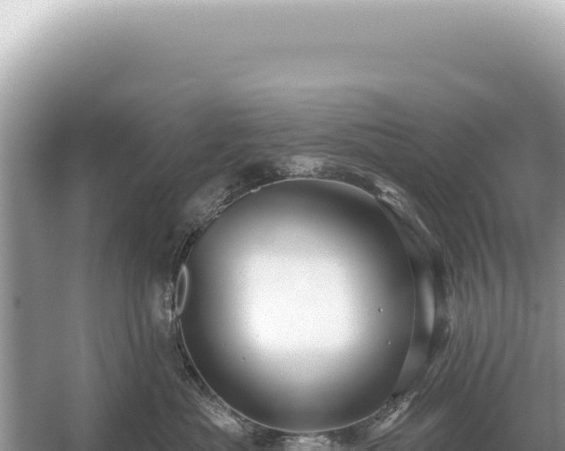 X0000054420525200508051809