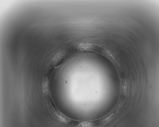 X0000054420526200508051809