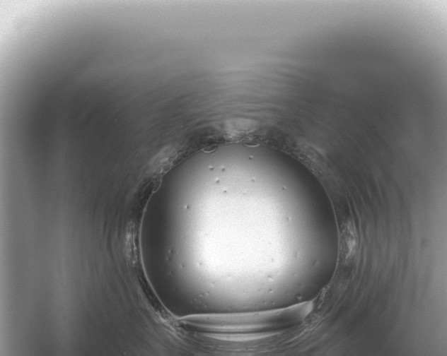 X0000054420527200508051809