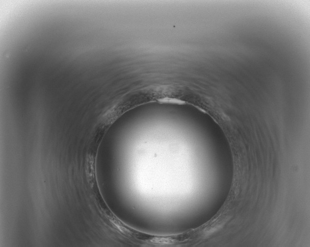 X0000054420528200508051809