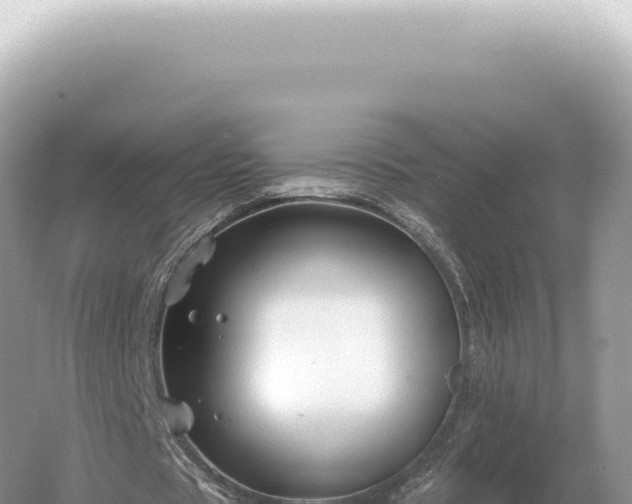 X0000054420529200508051808