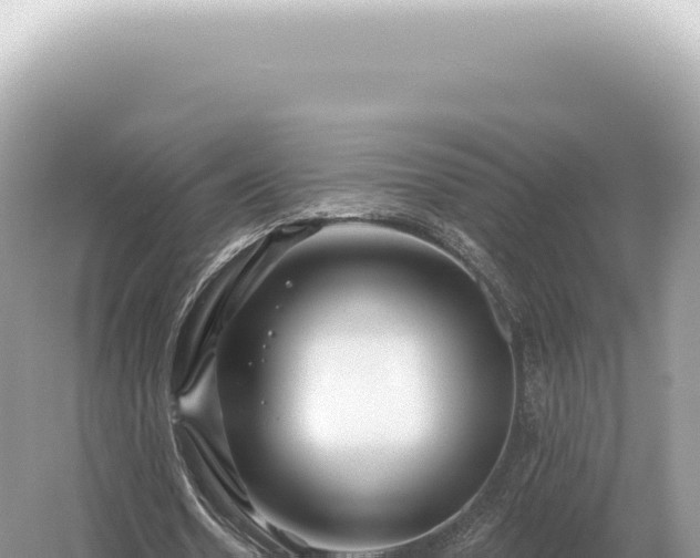 X0000054420530200508051808