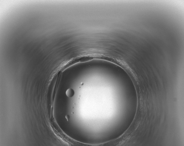 X0000054420533200508051808