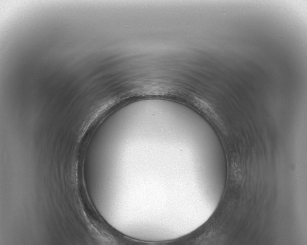 X0000054420534200508051808