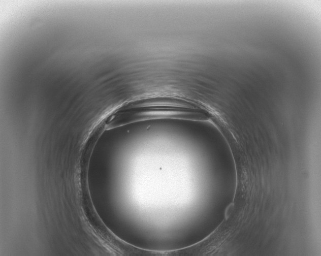 X0000054420535200508051808