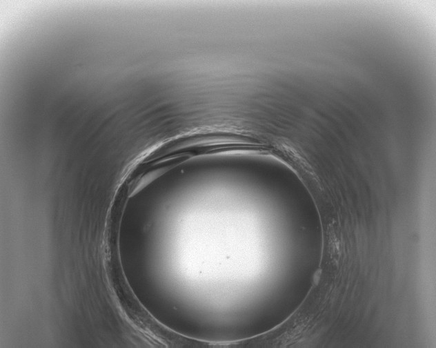 X0000054420536200508051808