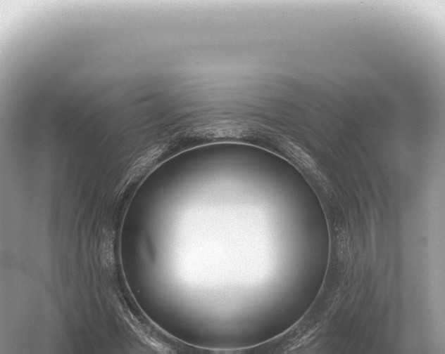 X0000054420537200508051808