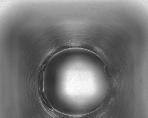 X0000054420538200508051808