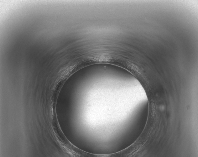 X0000054420541200508051808