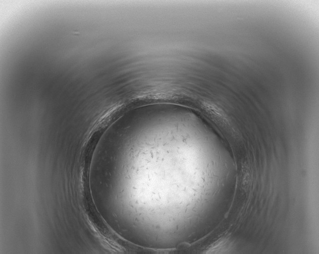 X0000054420542200508051808