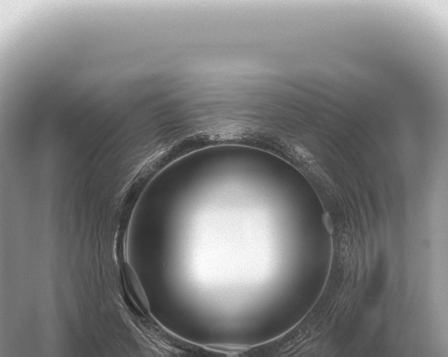 X0000054420543200508051808