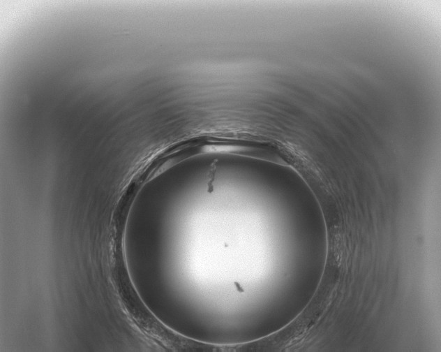 X0000054420544200508051808