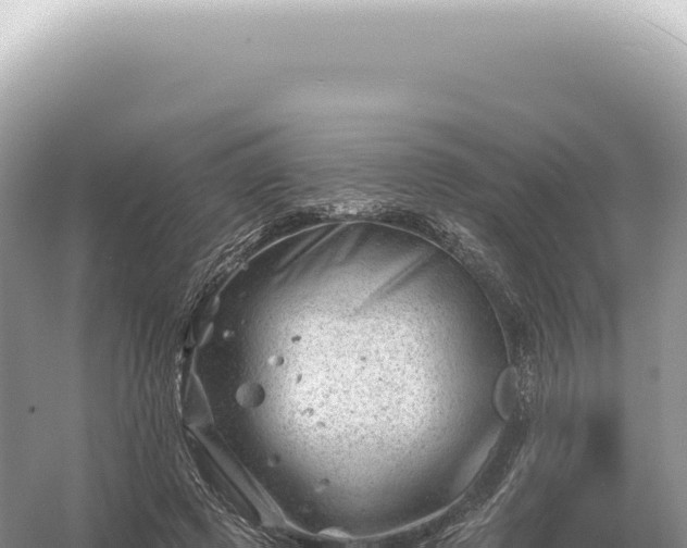 X0000054420545200508051808