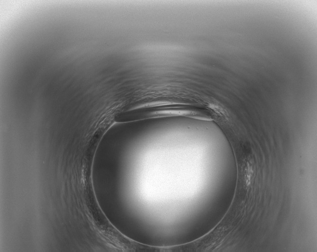 X0000054420546200508051808