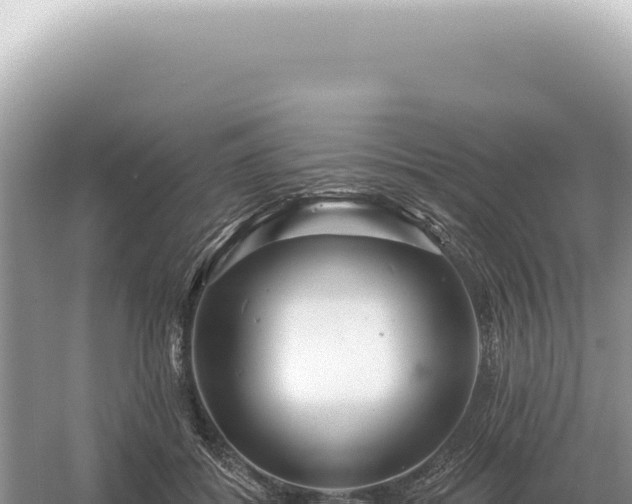 X0000054420556200508051809