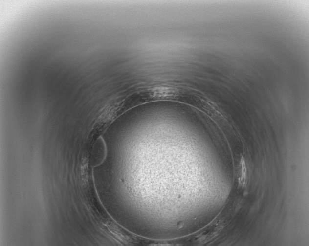 X0000054420557200508051809