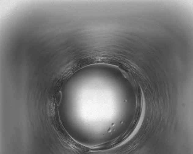 X0000054420558200508051809