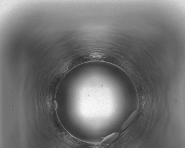 X0000054420559200508051809