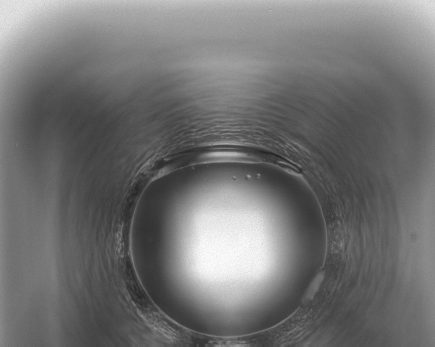 X0000054420560200508051809