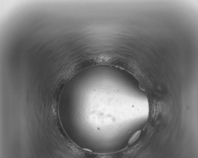 X0000054420561200508051809