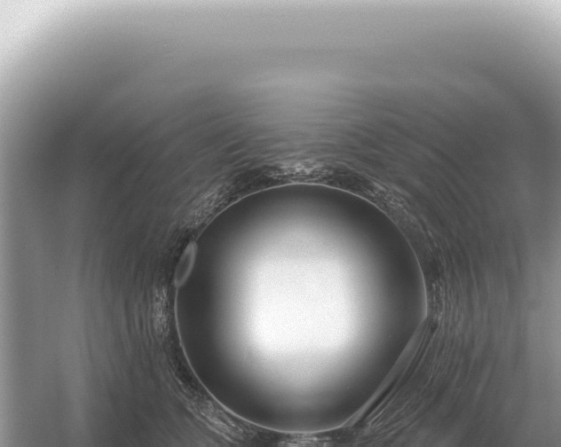 X0000054420563200508051809