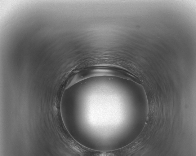 X0000054420566200508051809