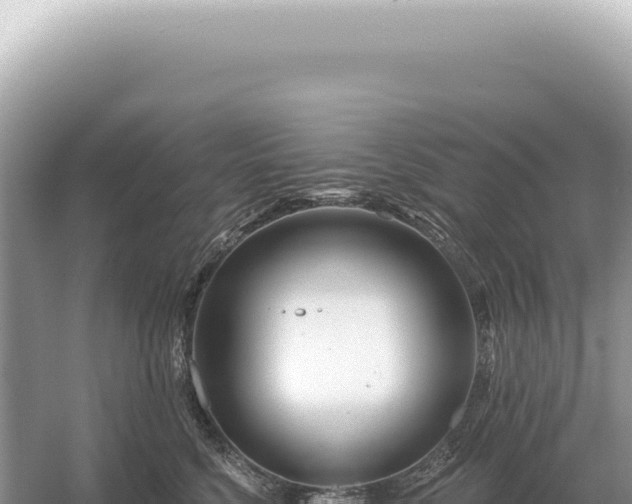 X0000054420568200508051809