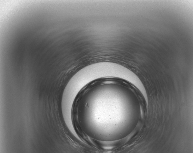 X0000054420570200508051809