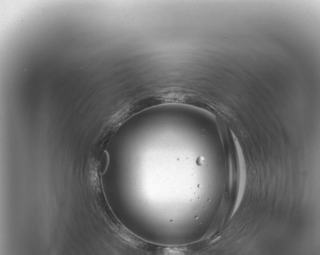 X0000054420573200508051809