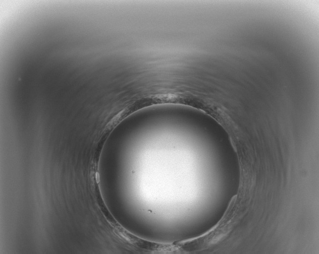 X0000054420576200508051809