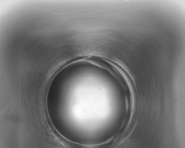 X0000054420577200508051808