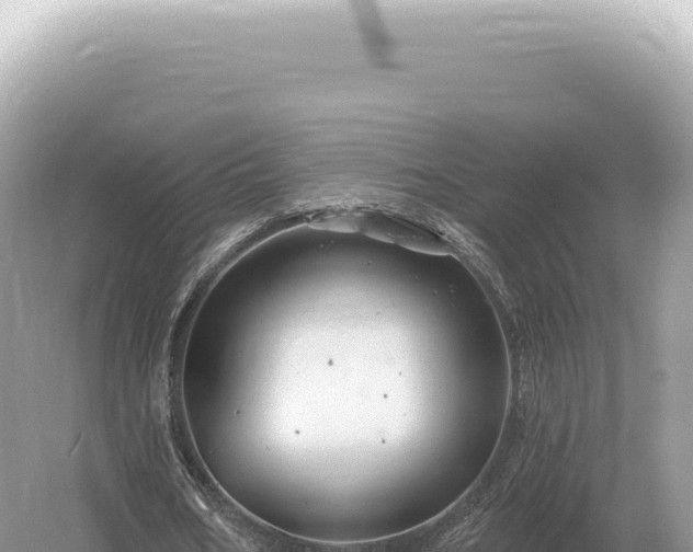 X0000054420578200508051808