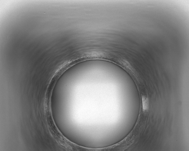 X0000054420579200508051808