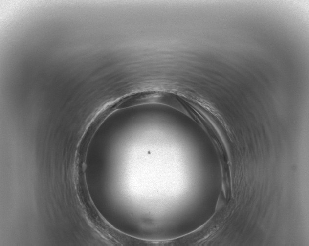 X0000054420580200508051808