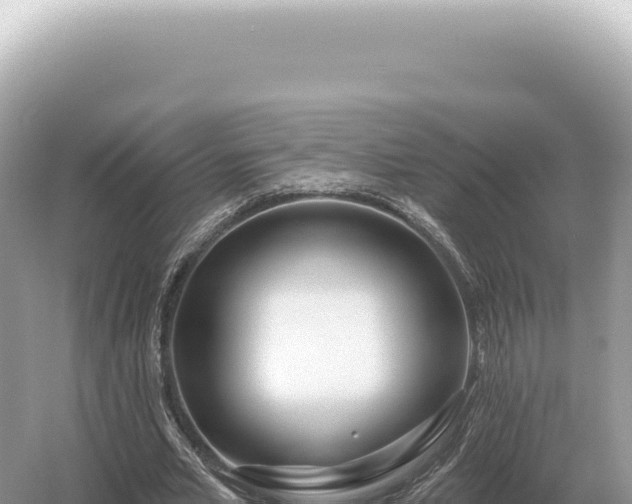 X0000054420581200508051808