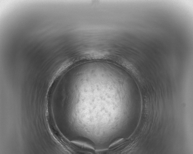 X0000054420582200508051808