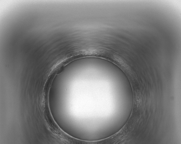 X0000054420583200508051808