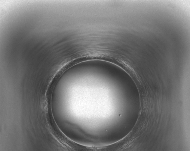 X0000054420584200508051808