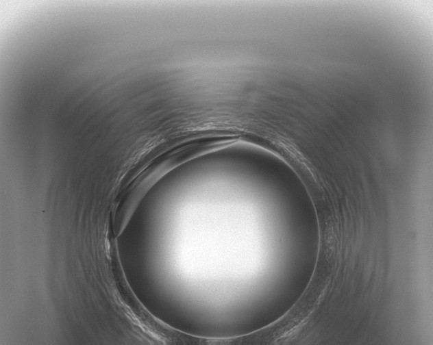 X0000054420585200508051808