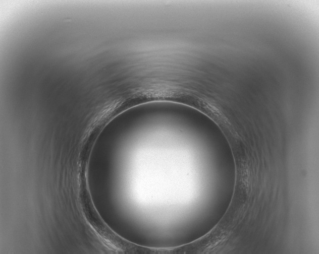 X0000054420586200508051808