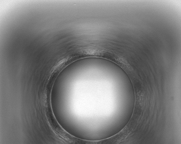 X0000054420587200508051808