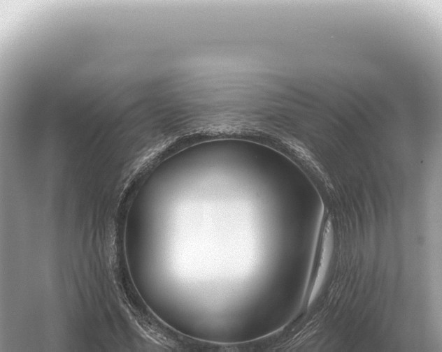 X0000054420588200508051808