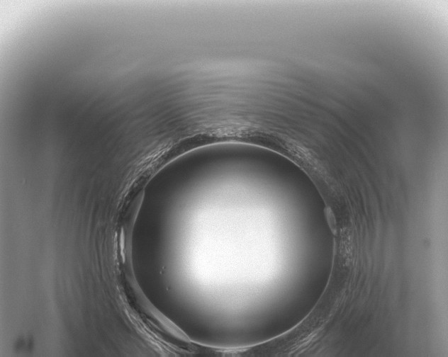 X0000054420589200508051808