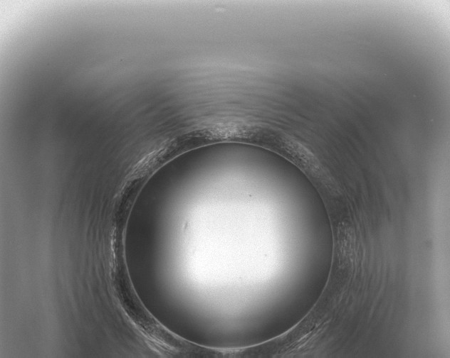 X0000054420590200508051808