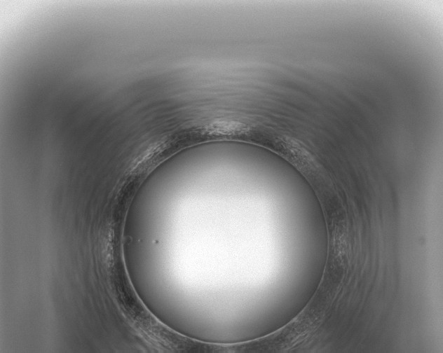 X0000054420591200508051808