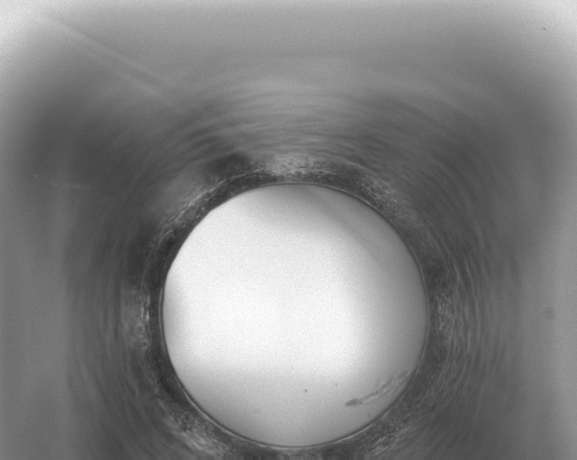 X0000054420592200508051808