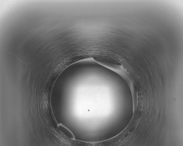 X0000054420593200508051808