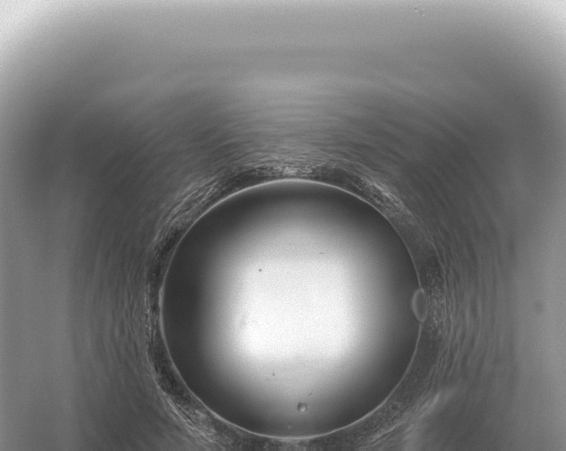 X0000054420594200508051808