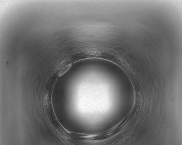 X0000054420597200508051808